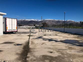 West Attica, plot 5,500 sq.m for rent