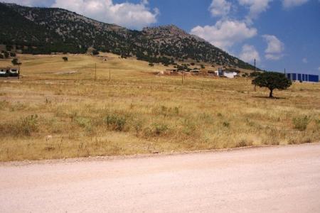 West Attica plot 5.000 sq.m for sale