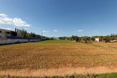 West Attica industrial plot 14.500 sq.m for sale