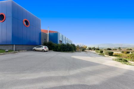 Viotia commercial property 4.060 sq.m for rent