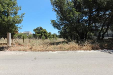 East Attica plot 1.050 sq.m for sale