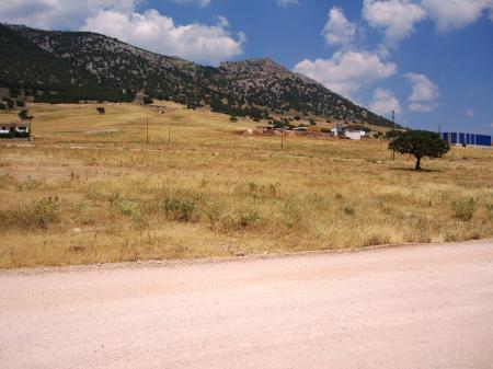 West Attica plot 12.000 sqm for sale