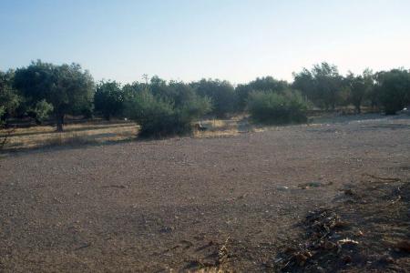 West Athens industrial plot 6.000 sq.m for sale