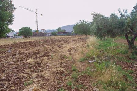 West Athens plot 8.000 sq.m for sale