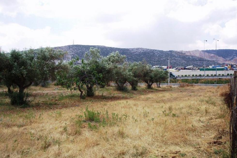 Attiki Odos ring road plot 7.500 sq.m for sale