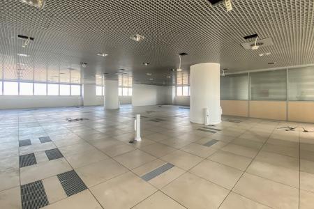 Professional space of 862 sq.m for rent, Metamorfosi