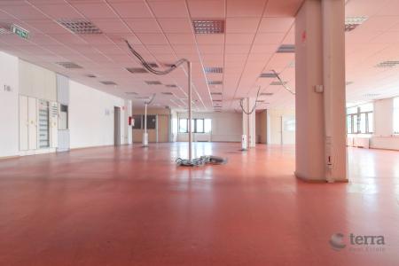 North Athens, Kifisia, offices 850 sq.m for rent
