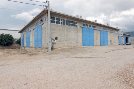 West Attica, warehouse 1.000 sq.m for rent