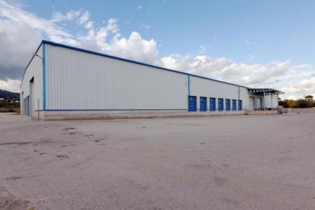North Attica logistic center 3.000 sq.m for rent