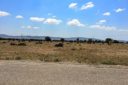 West Attica land 14.500 sq.m for sale