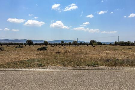 West Attica land 14.500 sq.m for sale