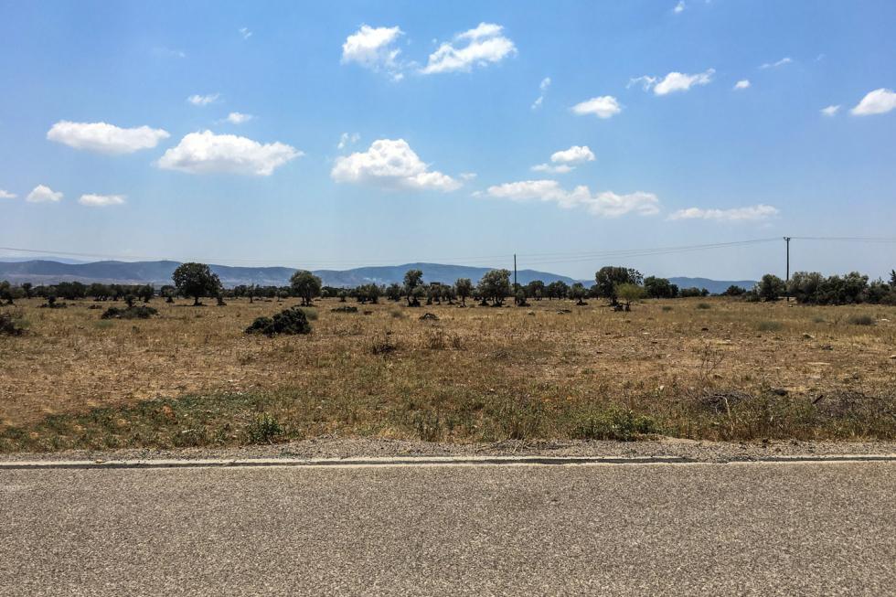 West Attica land 14.500 sq.m for sale