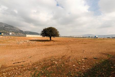 West Attica plot 16.000 sq.m for sale