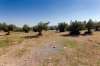 West Attica industrial plot of 10.730 sq.m, for sale