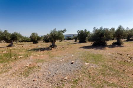 West Attica industrial plot of 10.730 sq.m, for sale