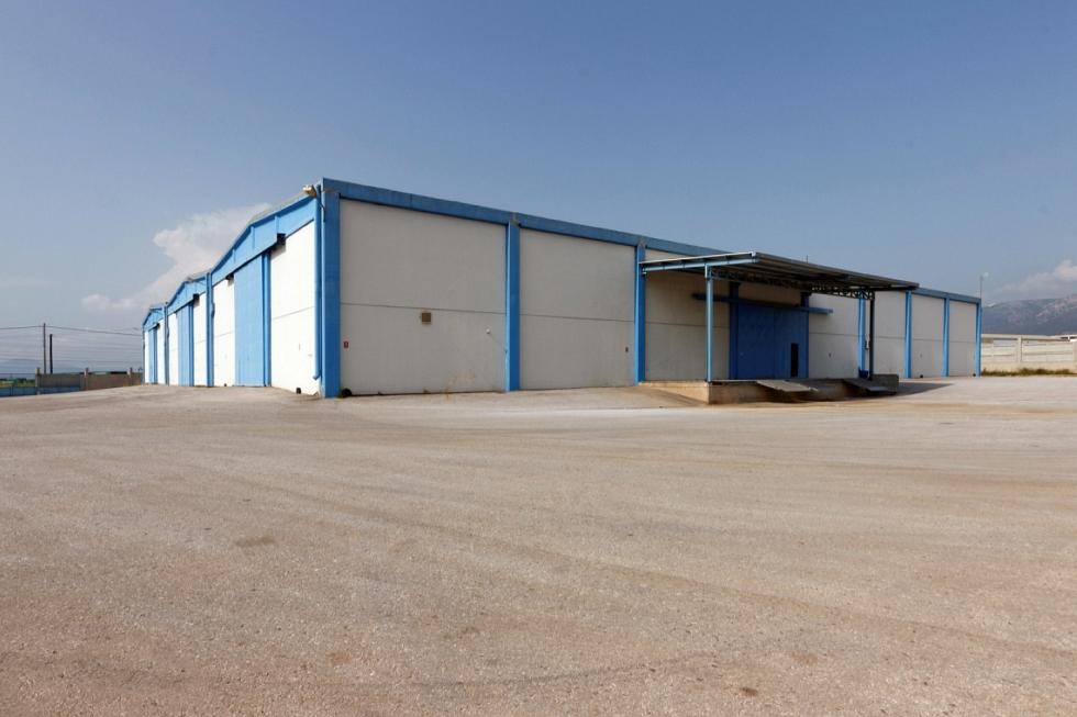 West Attica warehouse 3.450 sqm for rent