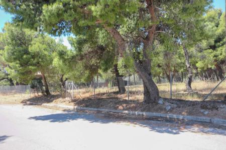North Athens central plot 1.000 sq.m for sale